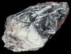 Metallic, Radiating Pyrolusite Cystals - Morocco #56958-3